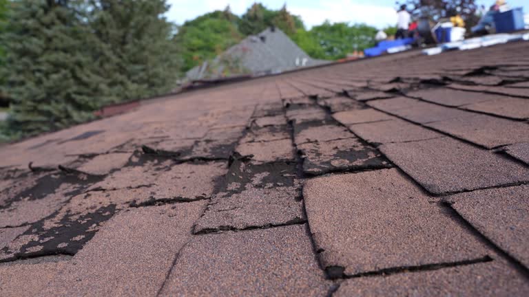 Best Green or Eco-Friendly Roofing Solutions  in Washburn, ND