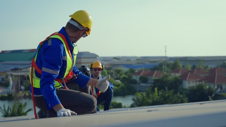Best Roof Moss and Algae Removal  in Washburn, ND